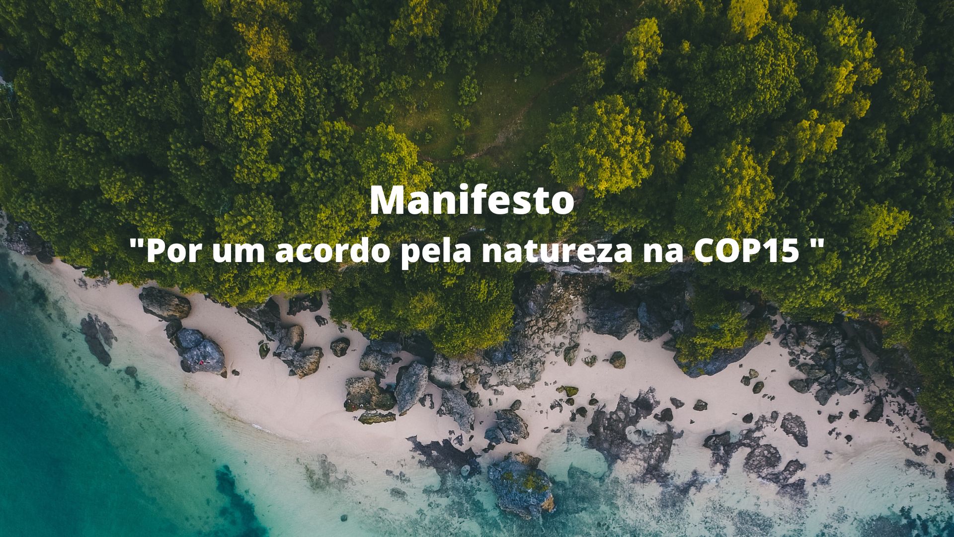 Grupo Altri assinou o Manifesto do BCSD Portugal Por um acordo pela Natureza na COP15 