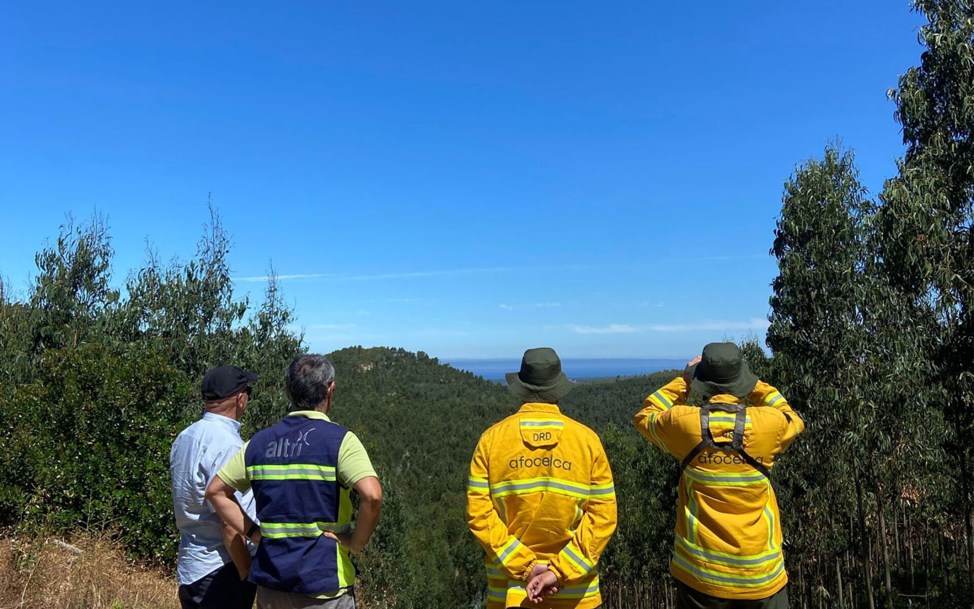 How human relationships sustain the future of the forest?