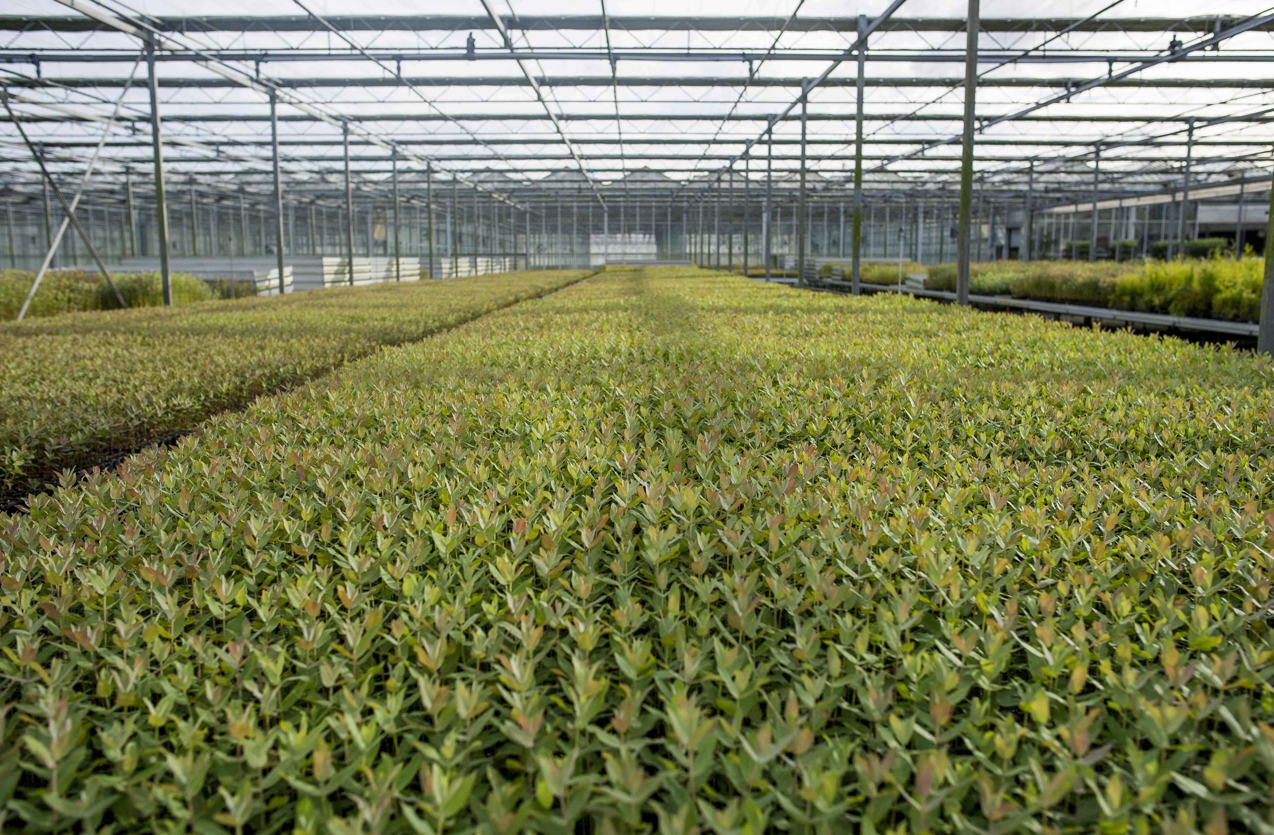 Altri’s Net Profit Reaches €7.6 Million in the First Quarter